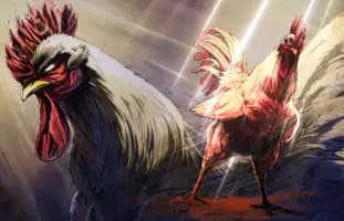 Episodio 3 de Niwatori Fighter